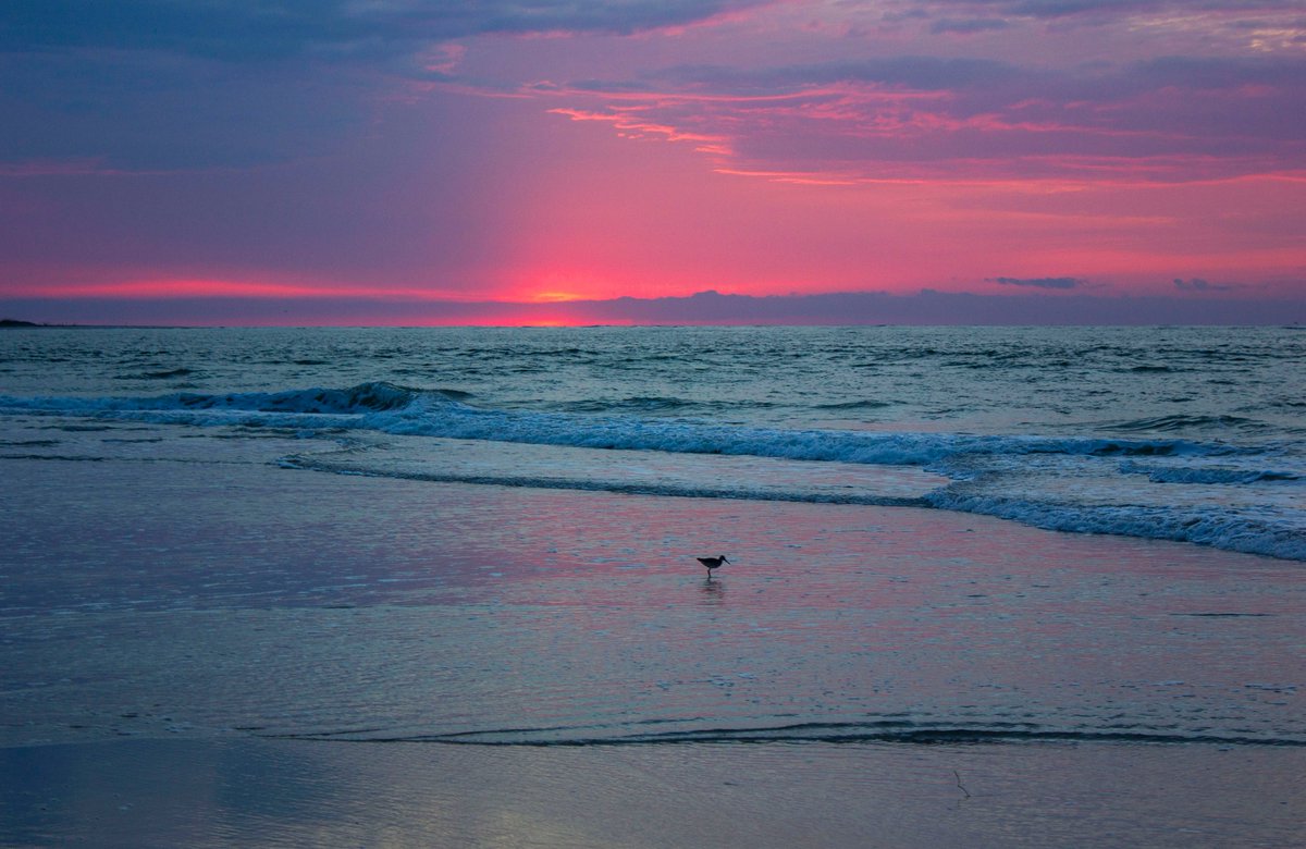 CJMaitland1's tweet image. good morning, y'all
 #sunrise #northtopsailbeach #photography