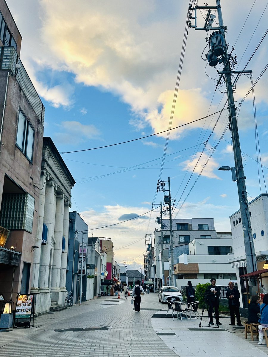 裏の犬 tweet media