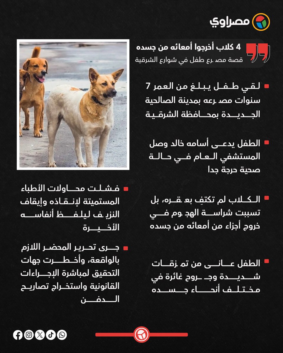 mohamed baker tweet media