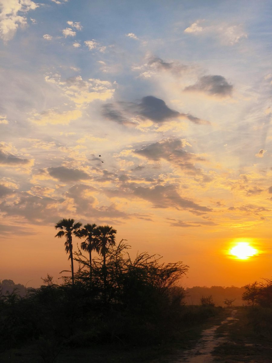 jmadmart's tweet image. emerging
from the shadows 

the fog of sleep
begins to separate 

revealing the
bright spot 

in each day 

#GoodMorning #GoodMorningX #poem #poetry #sunrise #nature #beauty #photography #art 
📸Maheshvara Shiv