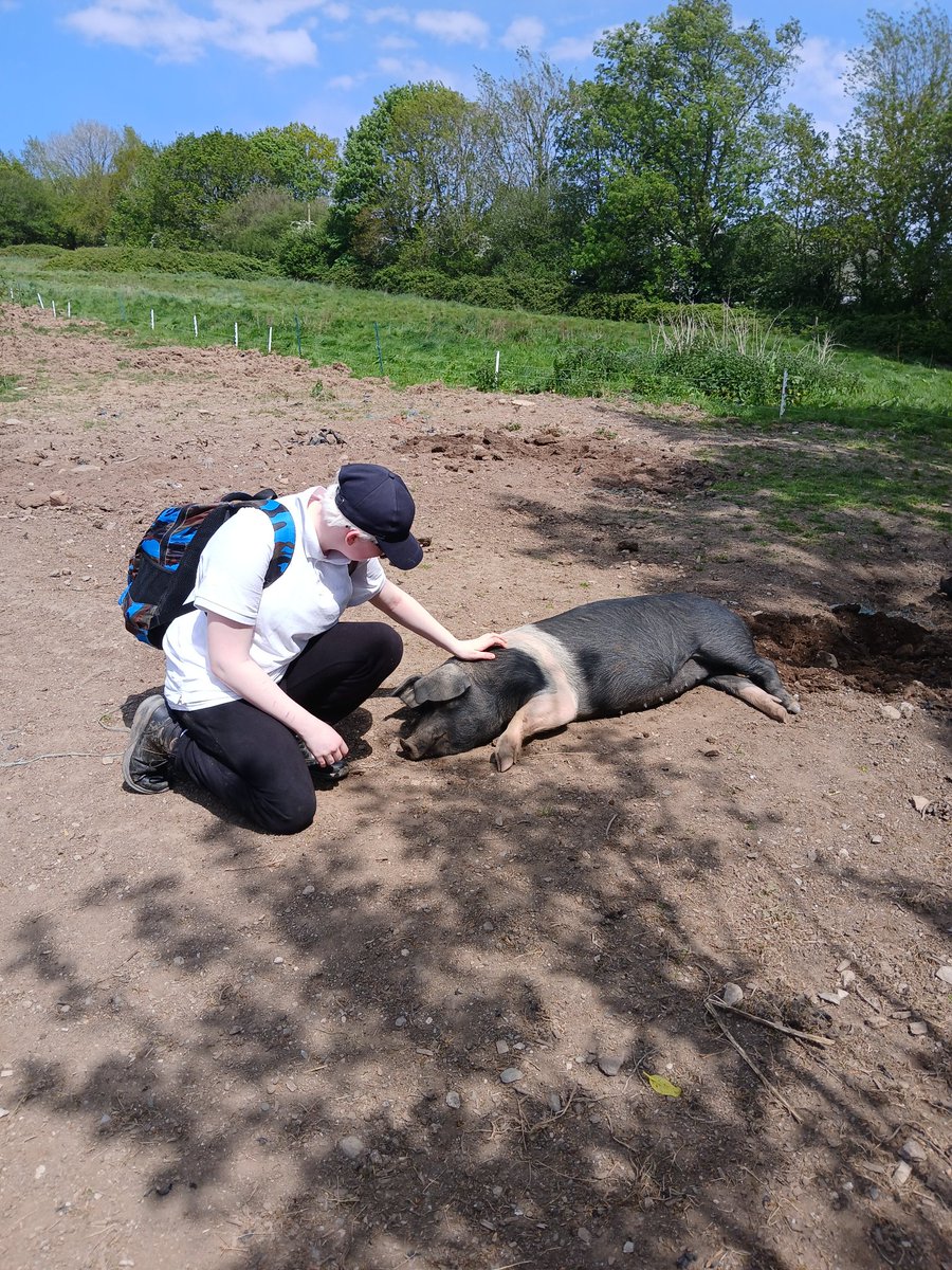 ACE Forest School tweet media