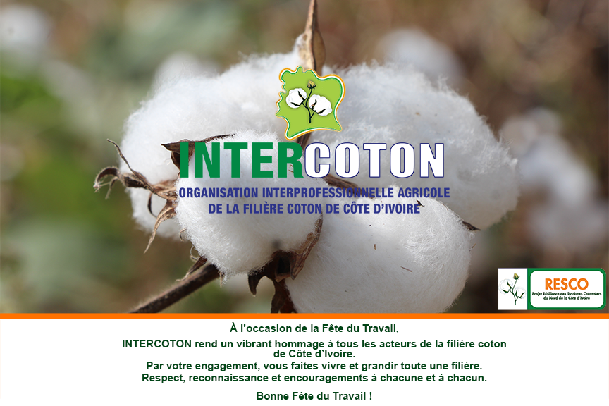 OIA_intercoton's tweet photo. #CIV #intercoton #coton_civ #AfD #RESCO #COTON #securitealimentaire #pistes #Projet_Resco #liguesportcoton https://t.co/vrZQTlDmNx