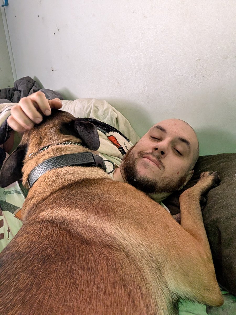 StaticRuin585's tweet photo. Nothing like a malinois who thinks he can cure your depression with snuggles and the occasional bite here and there. Idk what I would do without you today Bravo https://t.co/NqV9cI6lMp