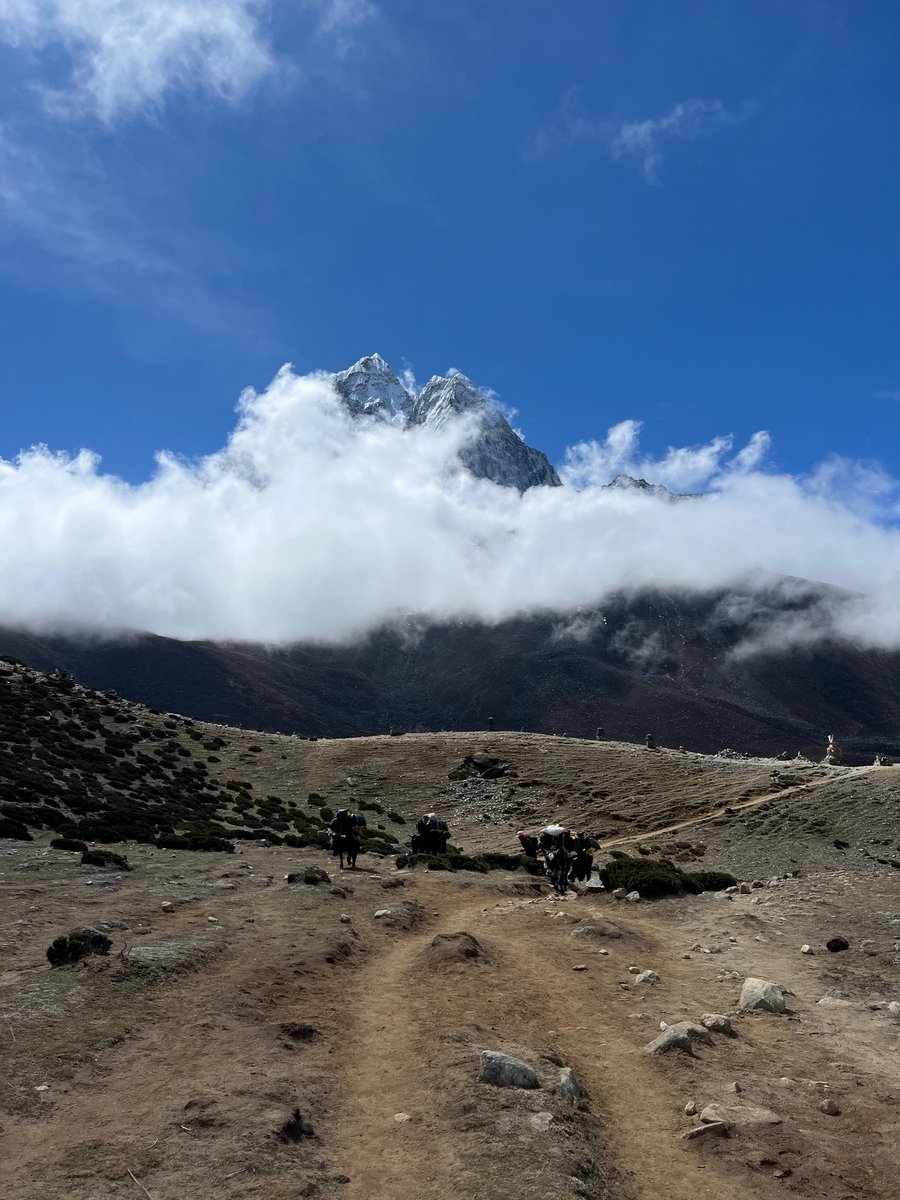 Joyconnected's tweet photo. كنت مبرمجة السفر مع صحاباتي ل base camp everest و لكن تغير السيناريو ، صاحبتي كل مالقت فرصة نت كاتسفيط لي..🥰 https://t.co/qYMk2TcAiA
