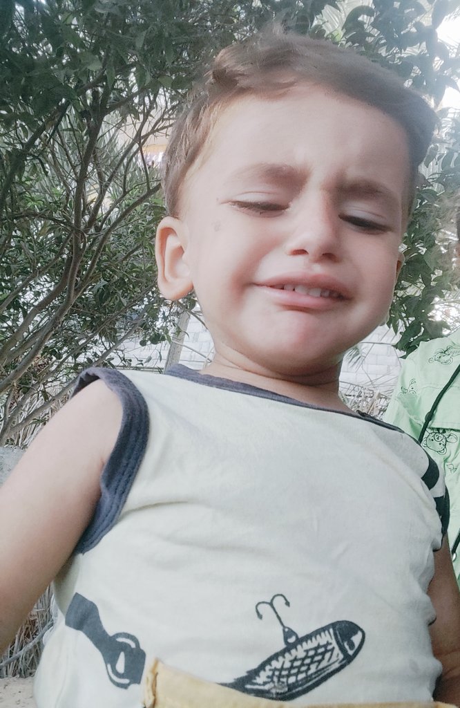🇵🇸Doaa Rayan🇵🇸 tweet media