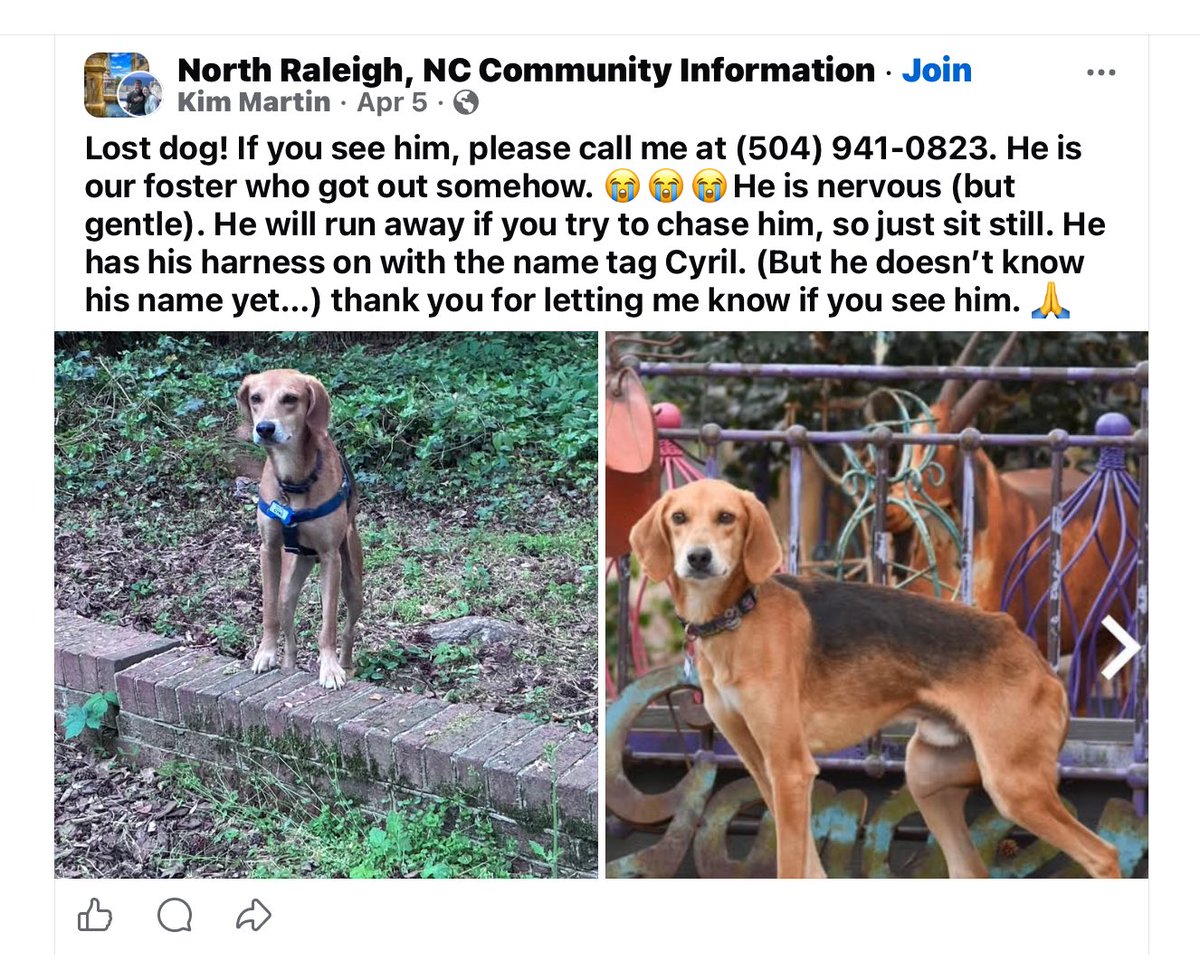 LoneStarChica's tweet image. This is a tough post to write, but a necessary one.

I was recently asked by a reputable person within the rescue community to research a dog an individual had posted about, named “Duke.” Along with that, I was sent information alleging that the same person within the rescue