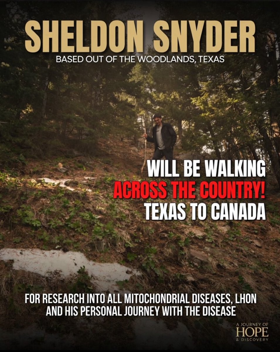 Sheldon tweet media