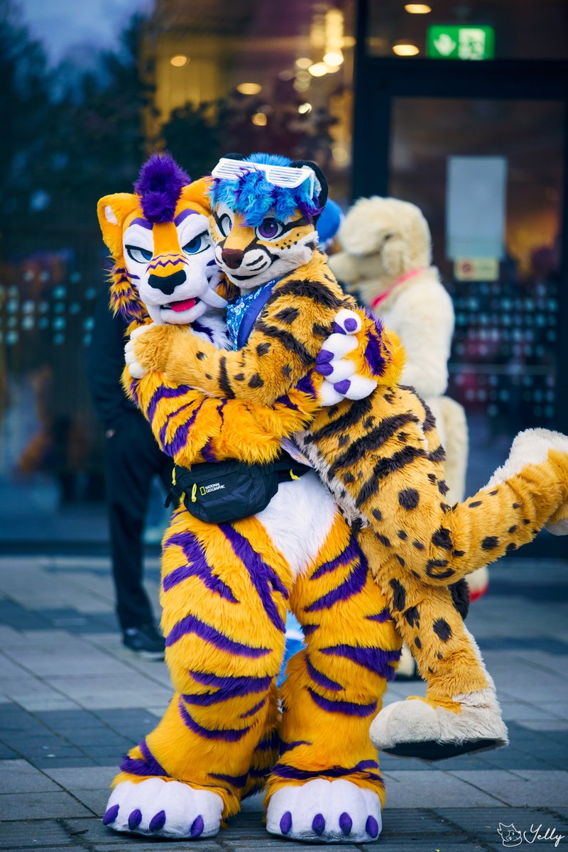 TrexlerPVP's tweet photo. UPPIES!!! WHEE!! #FursuitFriday

🐯: @Araz_Here 
📸: @yellyXP https://t.co/UoVvV3a8vp