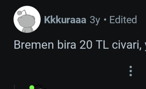 20tl bremen tweet media