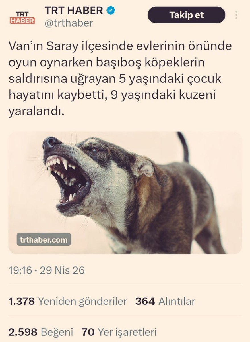 Fatih Tezcan tweet media