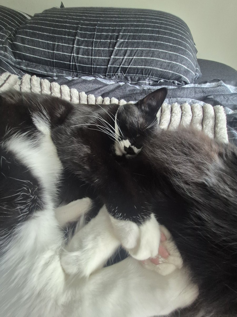 SipUrCoffee's tweet photo. He's holding her foot LOL https://t.co/jdOWKKx4PJ