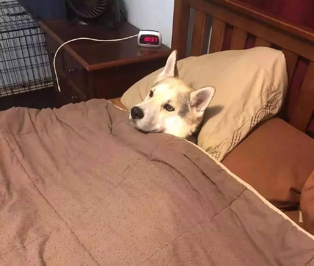 Bichinhos fofinhos pra quem ta cansado tweet media