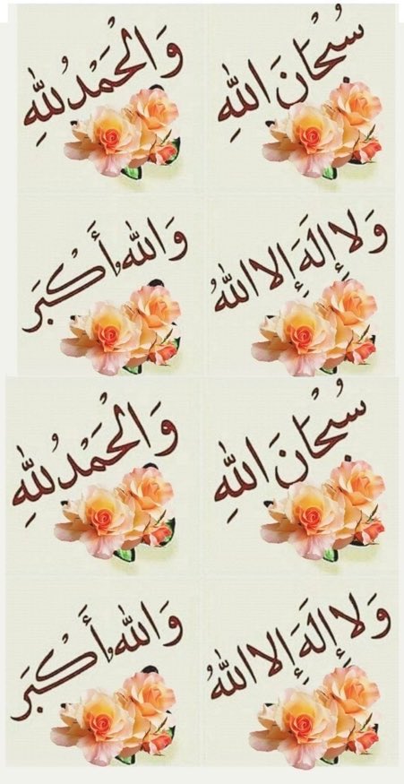 🇸🇦المهرة العتيبية 🇸🇦 tweet media