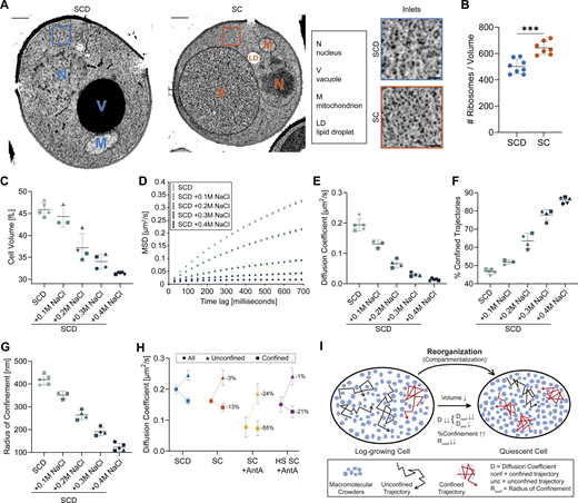 Journal of Cell Biology tweet media