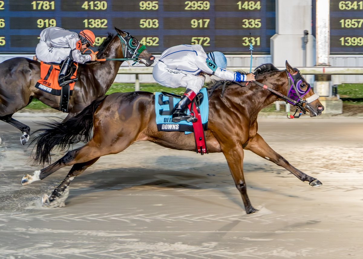 Delta Downs Racing tweet media