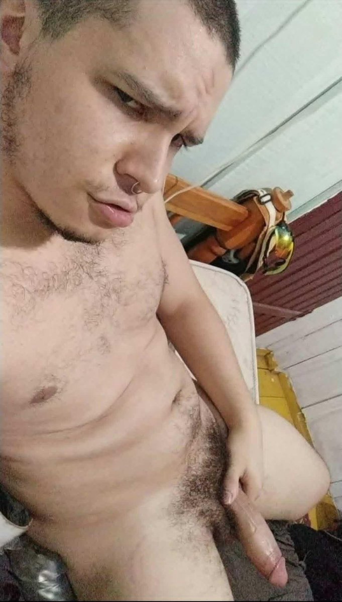 Acervo geral do Bruttola tweet media