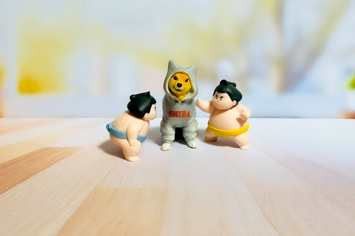 中西敏生 | OTTO-ONE tweet media