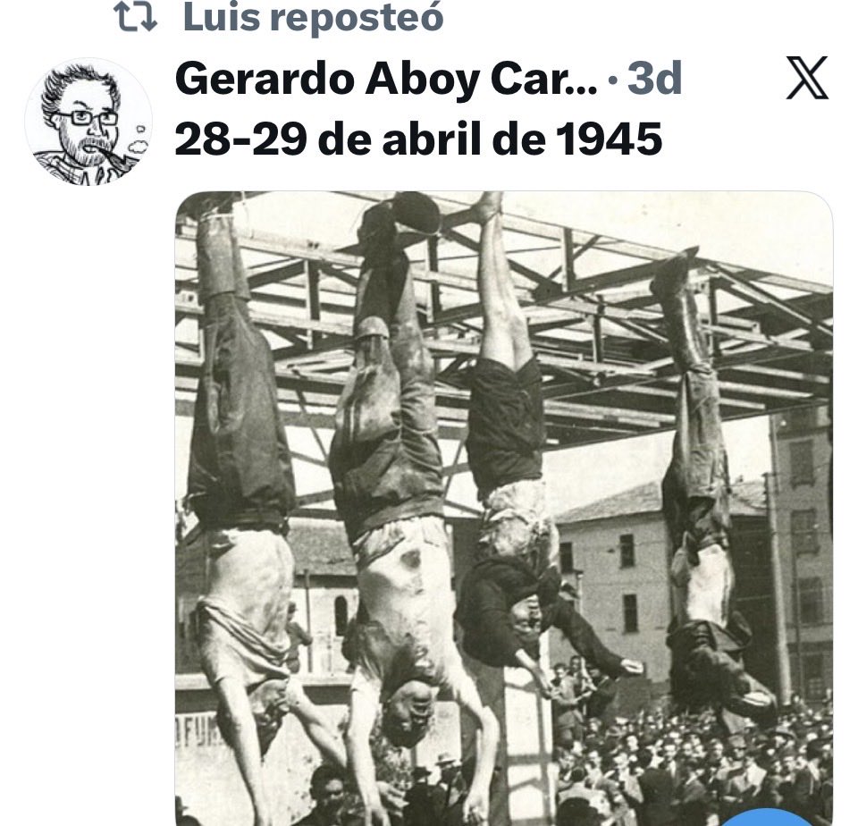 Arnaldo M tweet media