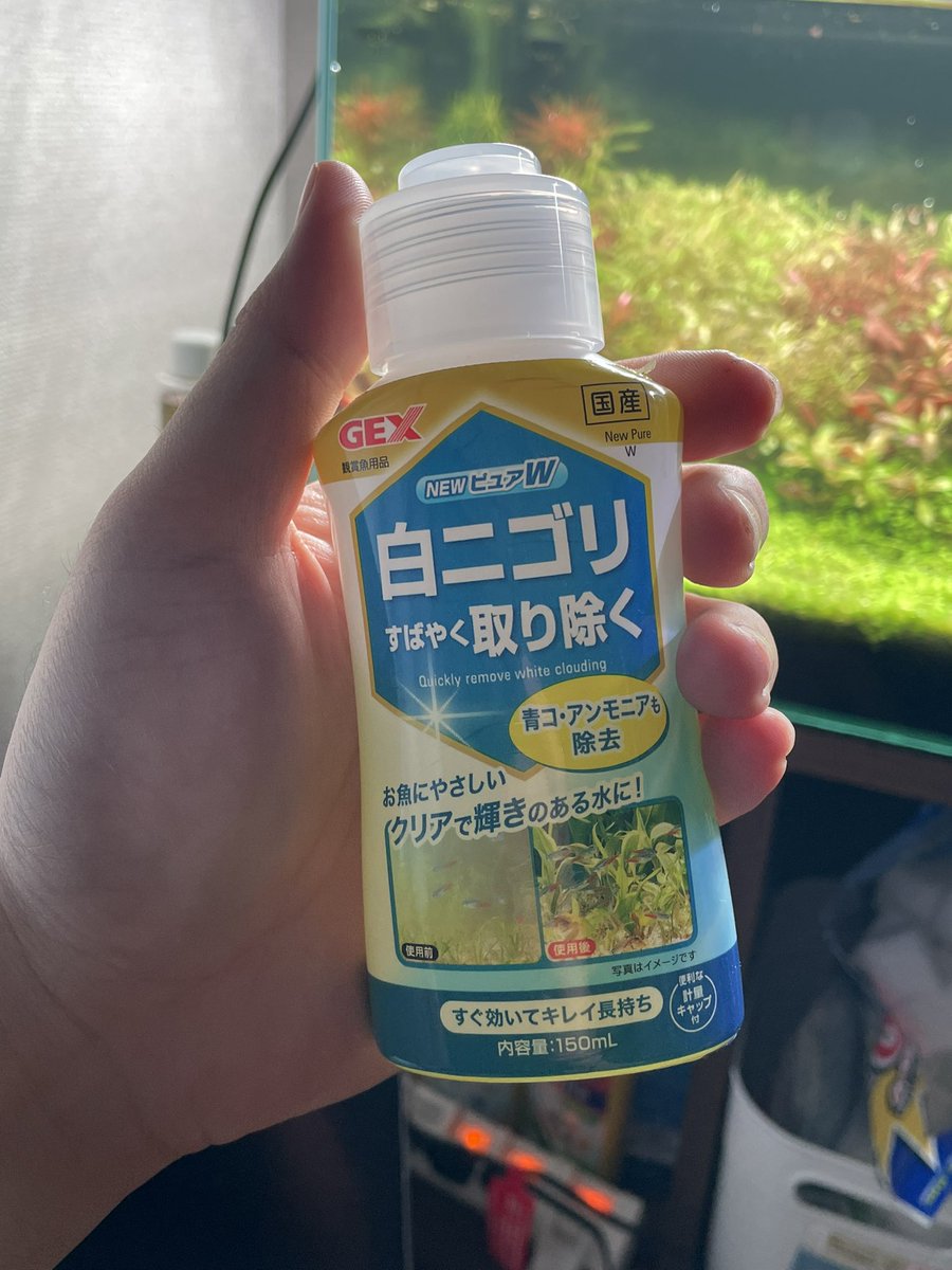 まぜ/Mazeh tweet media
