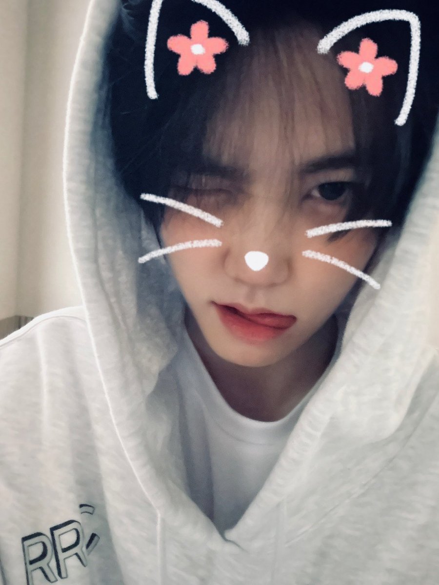 아보 tweet media
