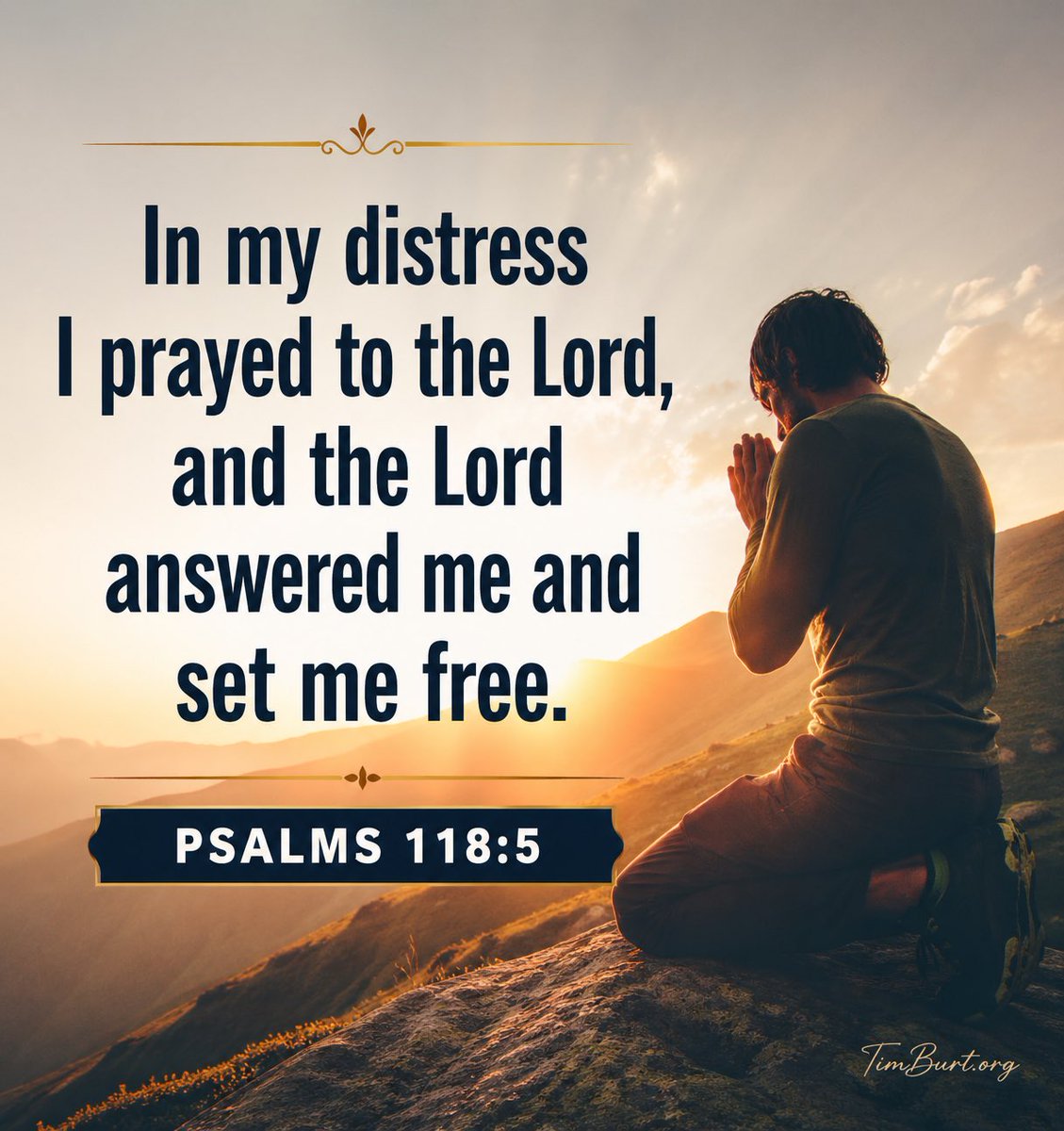 Timothy Burt tweet media