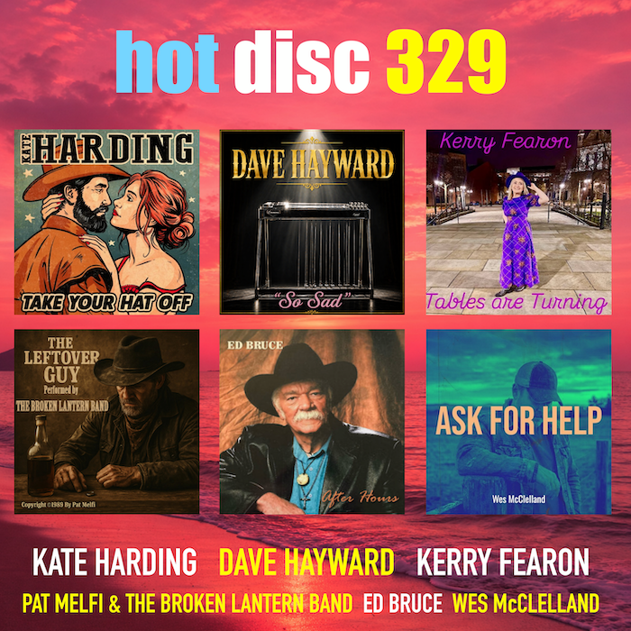 Hotdisc tweet media
