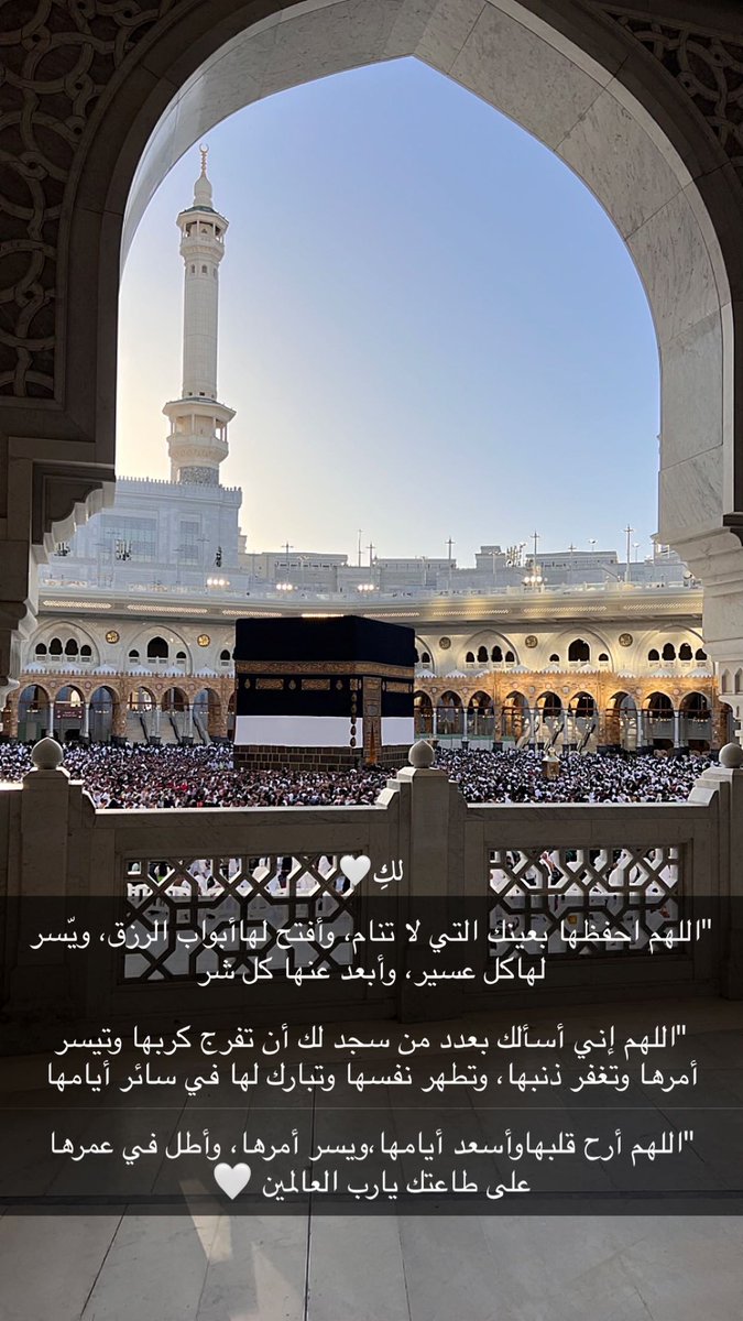 پہ‿ؤْح 🕊 tweet media