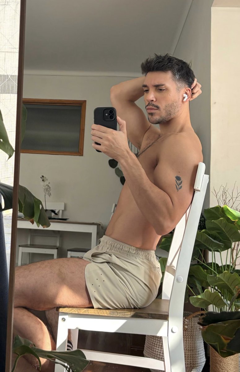 Stefano tweet media