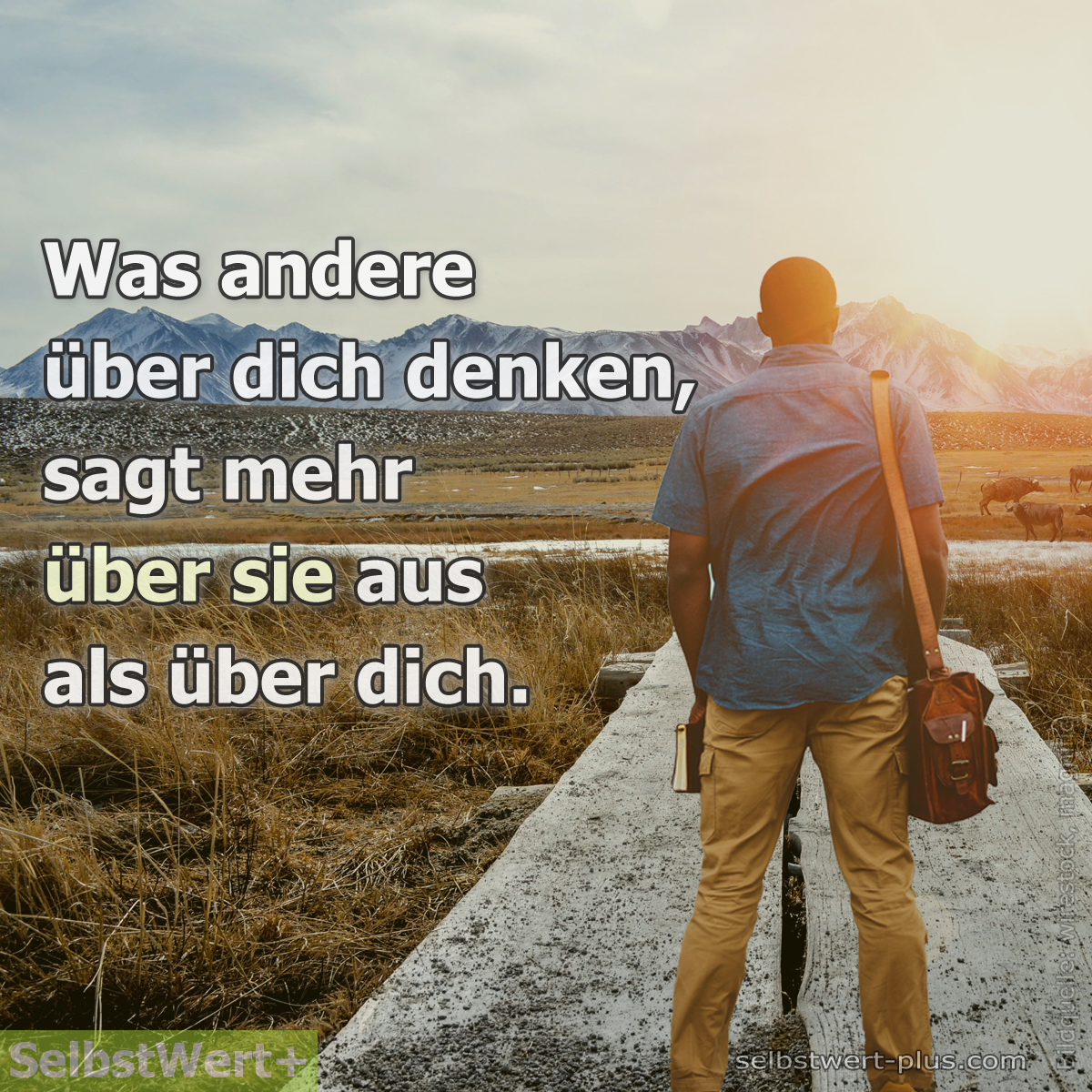 VLechleitner's tweet photo. Manchmal sagt jemand etwas Verletztendes über uns.
Und wir glauben es.

Doch was andere über uns denken, ist ihre Sicht.
Nicht die Wahrheit über uns.

#meinung #selbstwert #urteil #innerstärke #selbstwertplus https://t.co/2BjHooEn7M