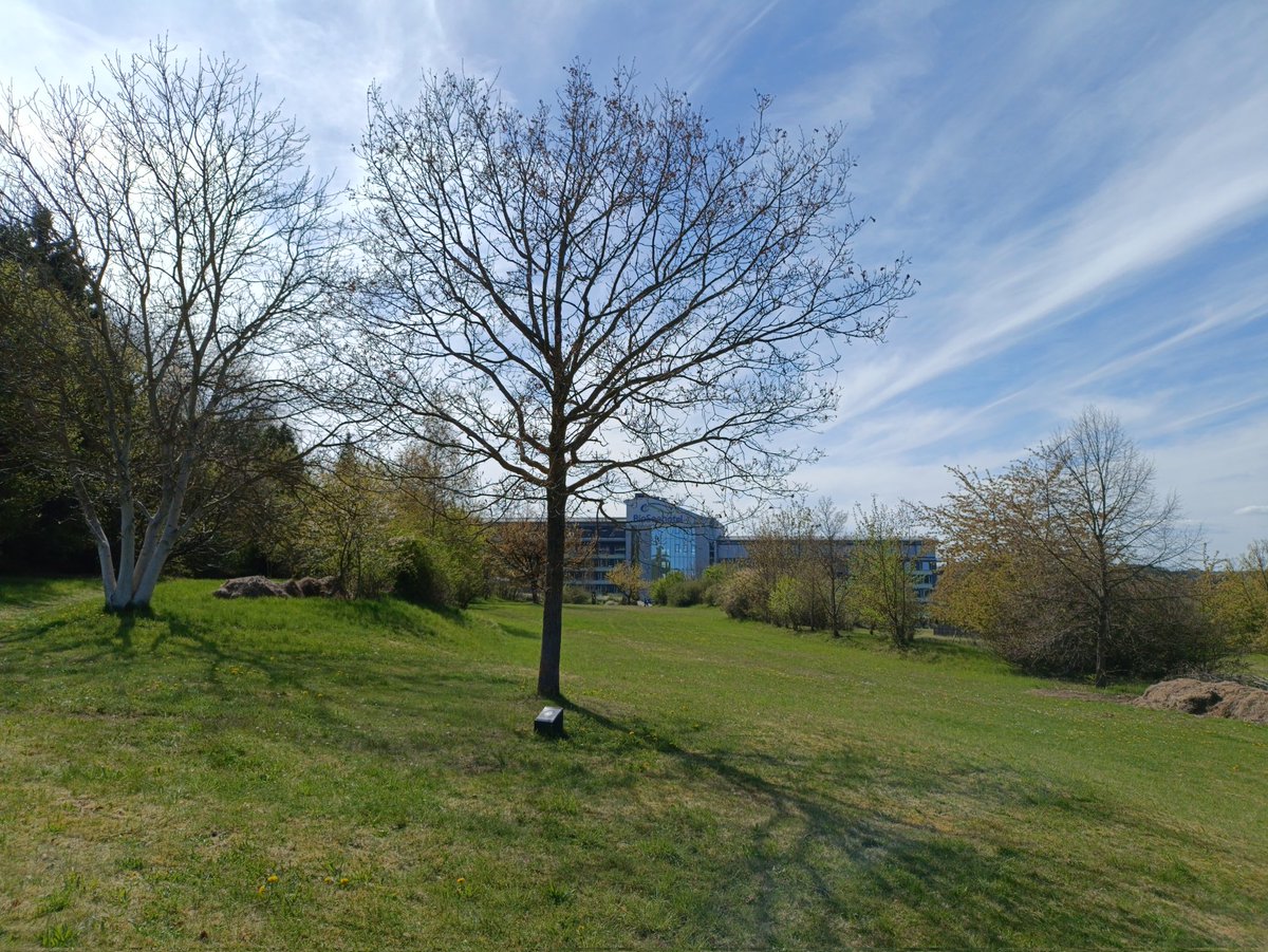 MarcelKrawetzke's tweet photo. Bio Seehotel am Zeulenrodaer Meer 
Foto by mkdeluxephotography/Marcel Krawetzke https://t.co/yhiw5kRCYW