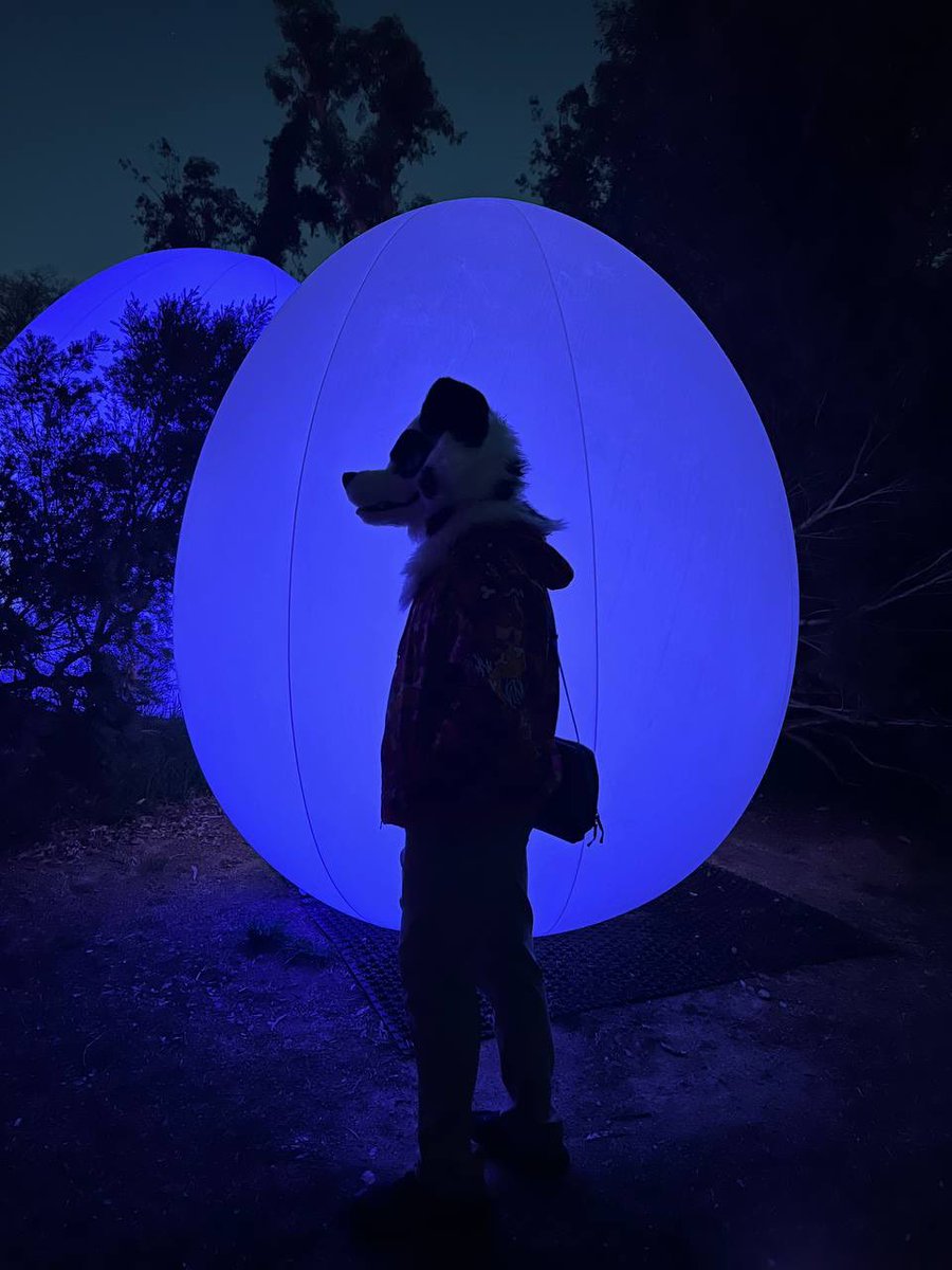 Avery | Finn of Dogtropolis tweet media