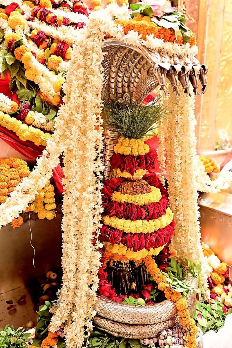 AuthorVishwa's tweet photo. विश्वेशं माधवं ढुण्ढिं 
दण्डपाणिं च भैरवम्। 
वन्दे काशीं गुहां गंगा 
भवानीं मणिकर्णिकम्॥
वैशाख पूर्णिमा श्रृंगार आरती दर्शन श्री काशी विश्वनाथ महादेव 🙏
।।श्री काशीविश्वनाथो विजयतेतराम।। https://t.co/eqFn9nYcEL