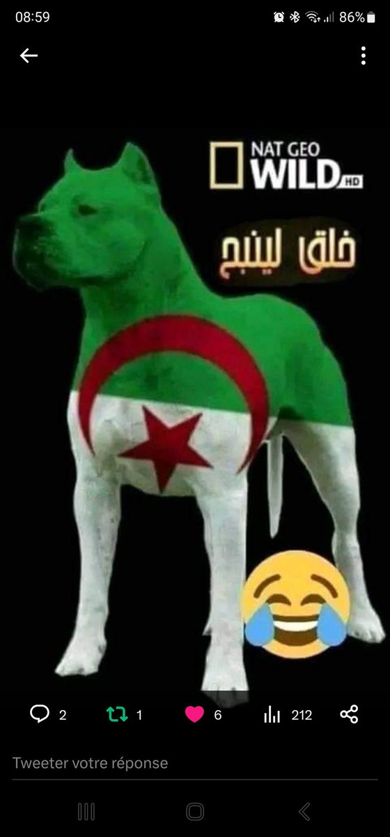 FromElMers 🇲🇦 tweet media