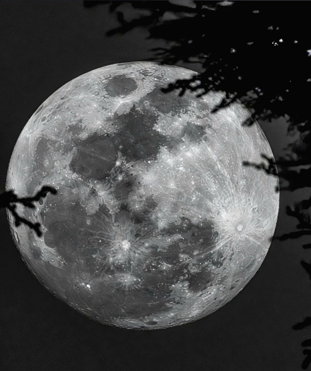torlas1's tweet photo. あなたを見ています,
당신을 보고 있어요
 eso nos dice la luna !! https://t.co/Ud2bIN03pJ