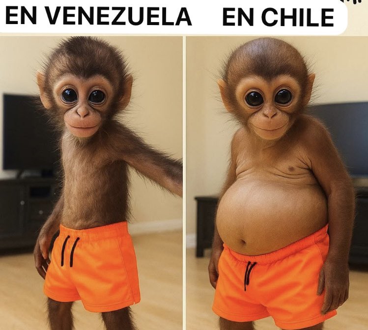 Don Disperso (@dondisperso) on Twitter photo 
