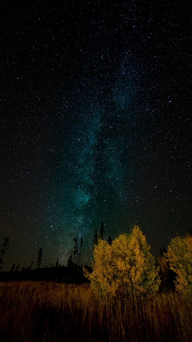 Night Sky Today tweet media