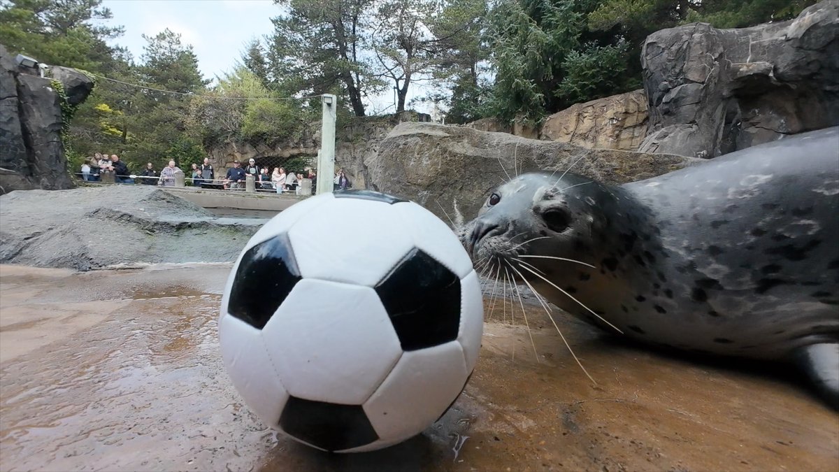 Oregon Zoo tweet media