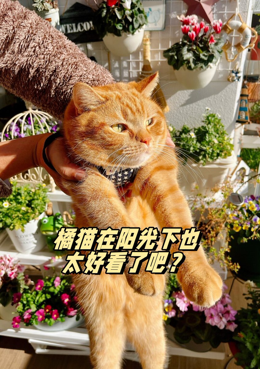 KKK123 tweet media