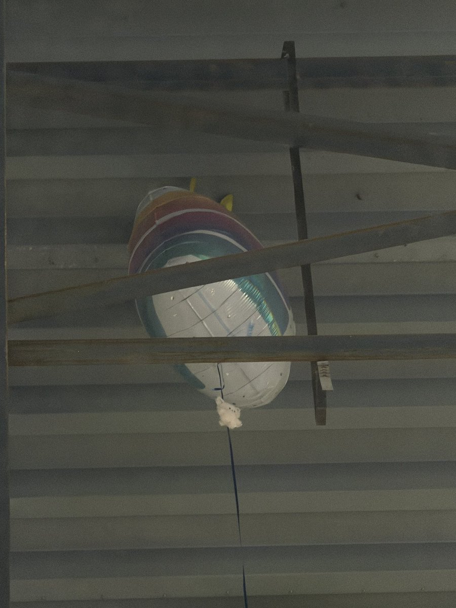 Ayen_2_You's tweet photo. ok so my bad for putting his dumbass on a balloon but I was trying to get him off AND THE RIBBON SNAPPED AND NOW FOXINY ON THE FUCKING CEILING. 

HE IS 34 FEET IN THE FUCKING AIR 

FOXINY 😭😭😭😭😭 https://t.co/beubnDltqM