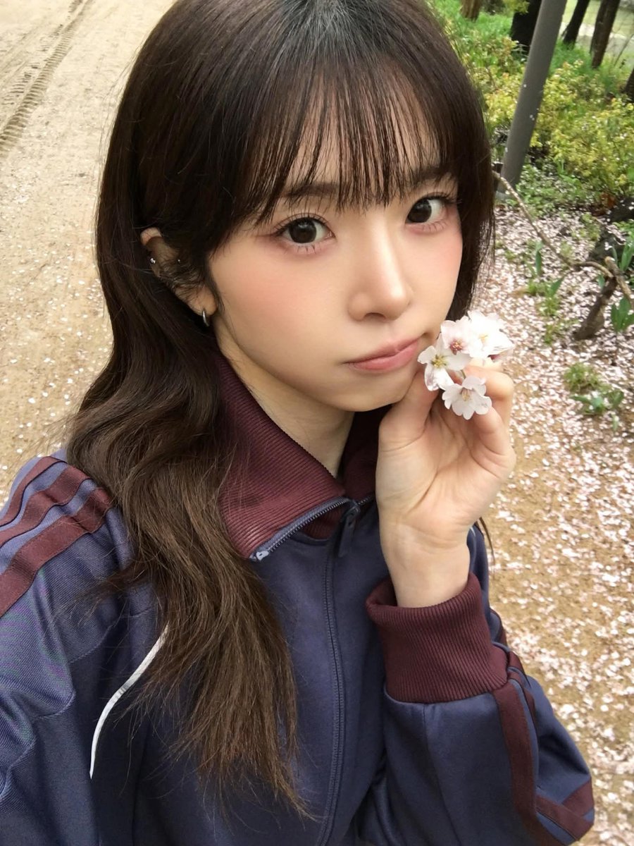 KOTONE UPDATES tweet media