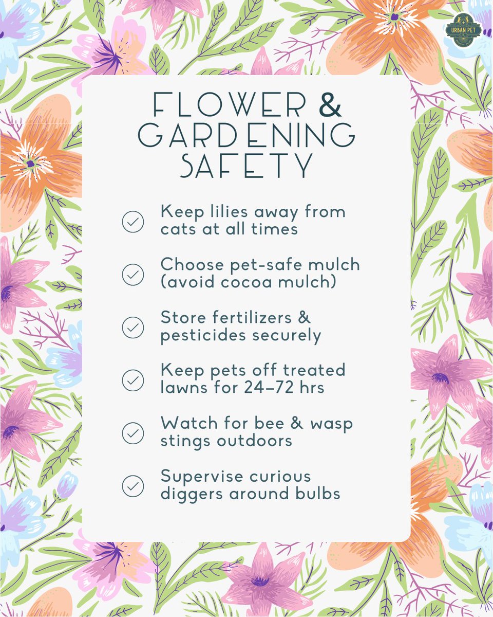 UPetrx's tweet image. Warmer weather is on the way, and so are garden hazards for curious pets 🌷🐾 Before planting or treating your yard, take a moment to make sure your outdoor space is pet-safe. Small changes can prevent big emergencies! #PetSafety #SpringGardening