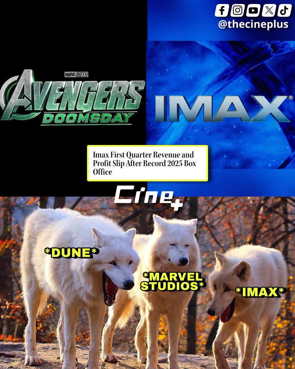 CINE+ tweet media