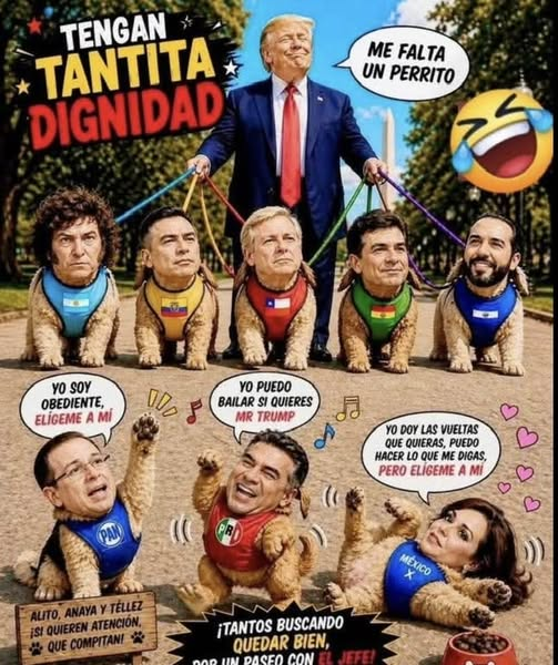 Jose Lapiz tweet media
