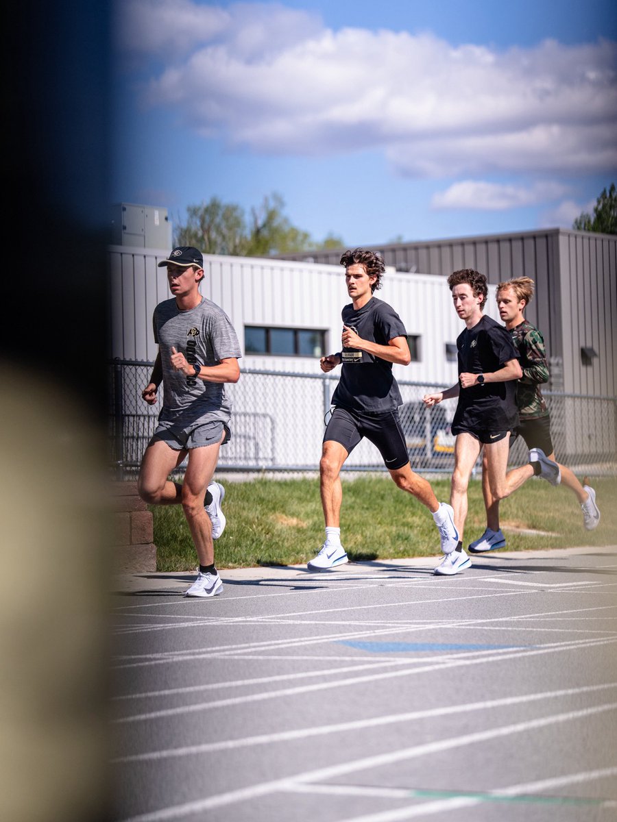 Colorado Buffaloes Track & XC tweet media