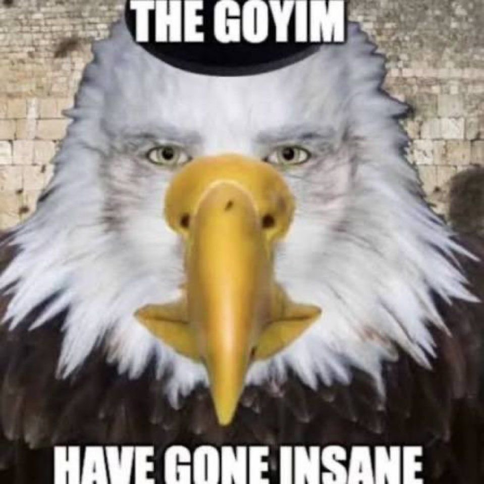 Whigtard ✝️🇺🇸 tweet media