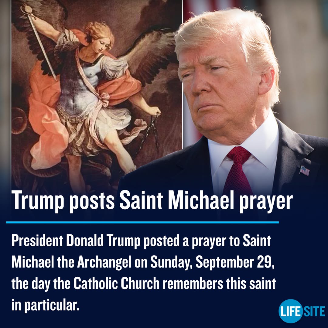 Rise of Michael tweet media