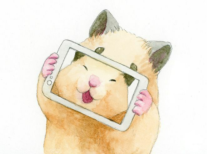 NoppuShop tweet media