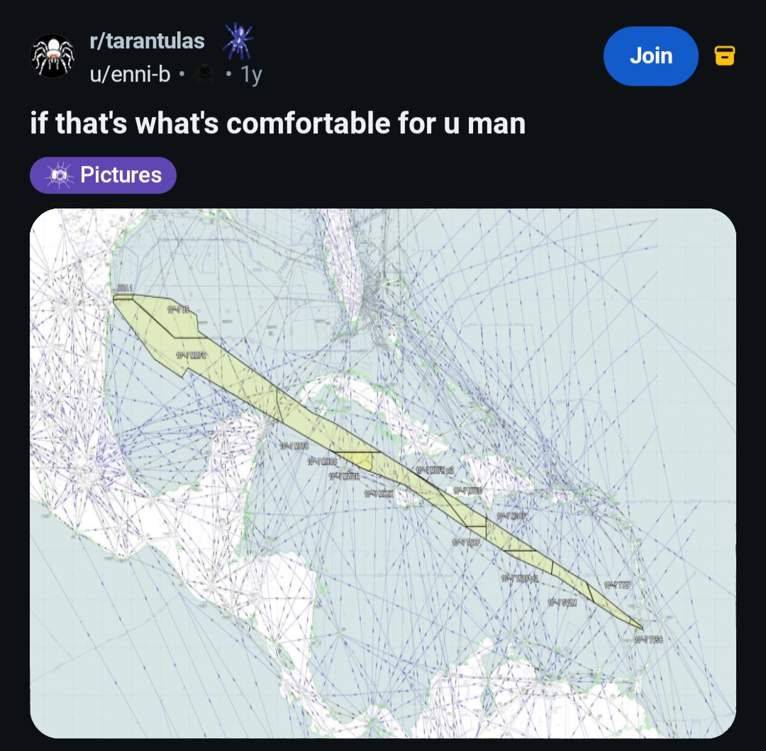 Cosmic Arc tweet media