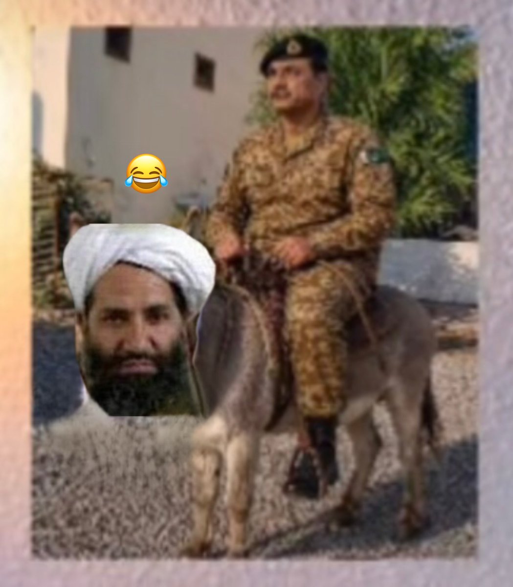 Sahil Pashtun🇦🇫🦅 tweet media