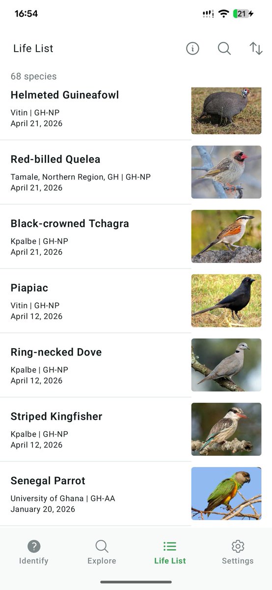 HanifAbdulai's tweet image. Added 10 species to my life list over the past month. #birding #merlin